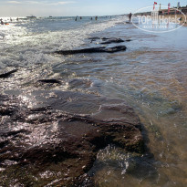 фото из отзыва ID 2642435