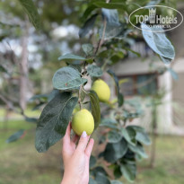 фото из отзыва ID 2642538