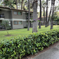 фото из отзыва ID 2642538