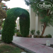 фото из отзыва ID 2642551