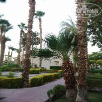 фото из отзыва ID 2642551