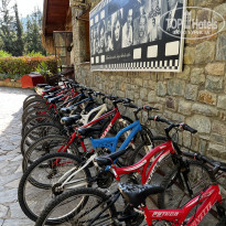 фото из отзыва ID 2642556