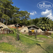 фото из отзыва ID 2642556