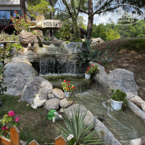 фото из отзыва ID 2642556