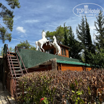 фото из отзыва ID 2642556