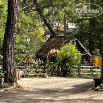 фото из отзыва ID 2642556