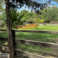 фото из отзыва ID 2642556