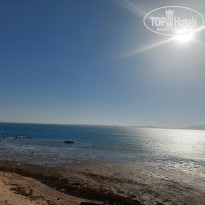 фото из отзыва ID 2642593