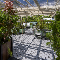 фото из отзыва ID 2642609