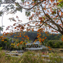 фото из отзыва ID 2642609