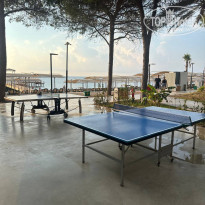 фото из отзыва ID 2642616