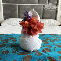 фото из отзыва ID 2642635