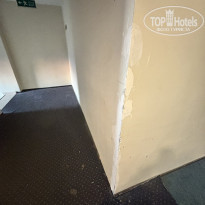 фото из отзыва ID 2642676