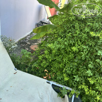 фото из отзыва ID 2642676