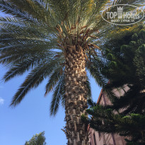 фото из отзыва ID 2642682