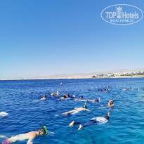 фото из отзыва ID 2642679