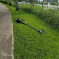 фото из отзыва ID 2642707