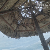 фото из отзыва ID 2642707