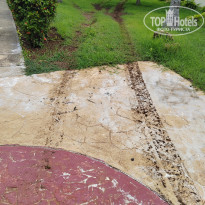 фото из отзыва ID 2642707