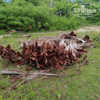 фото из отзыва ID 2642707