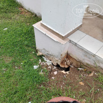 фото из отзыва ID 2642707