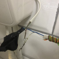 фото из отзыва ID 2642719