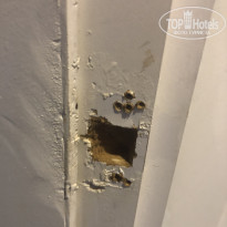 фото из отзыва ID 2642719