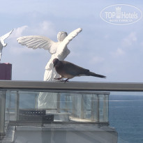 фото из отзыва ID 2642719