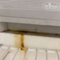 фото из отзыва ID 2642732