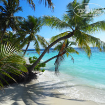 фото из отзыва ID 2642673