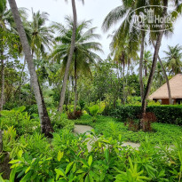 фото из отзыва ID 2642673