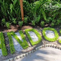 фото из отзыва ID 2642673