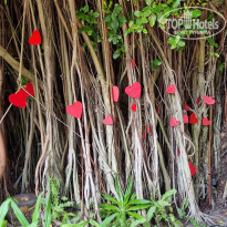 фото из отзыва ID 2642673