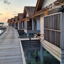 фото из отзыва ID 2642673