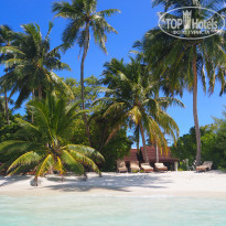 фото из отзыва ID 2642673