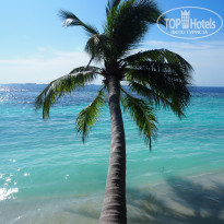 фото из отзыва ID 2642673