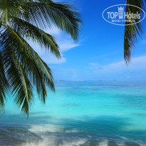 фото из отзыва ID 2642673