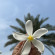 фото из отзыва ID 2642800