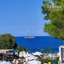 фото из отзыва ID 2642806