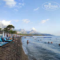 фото из отзыва ID 2642806