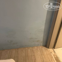 фото из отзыва ID 2642860