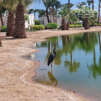 фото из отзыва ID 2642921