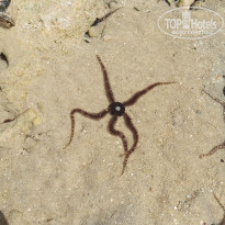 фото из отзыва ID 2642921