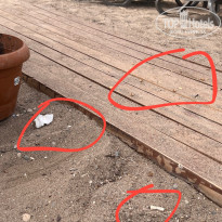 фото из отзыва ID 2642989