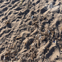 фото из отзыва ID 2642989