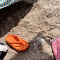 фото из отзыва ID 2642989