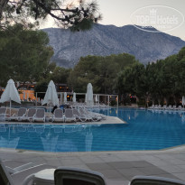 фото из отзыва ID 2642979