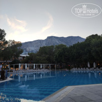 фото из отзыва ID 2642979