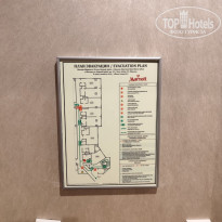 фото из отзыва ID 2643090