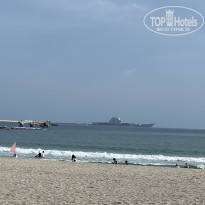 фото из отзыва ID 2642961